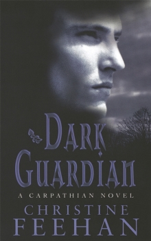 Dark Guardian : Number 9 in series