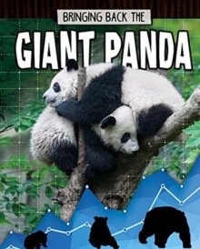 Giant Panda Animals Back From The Brink Paula Smith