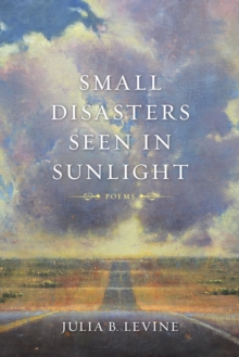 Small Disasters Seen in Sunlight : Poems