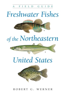 Freshwater Fishes of the Northeastern United States : A Field Guide