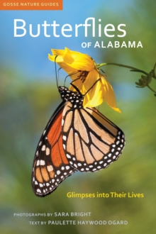 Butterflies of Alabama : Glimpses into Their Lives
