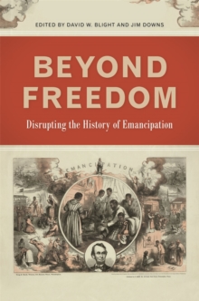 Beyond Freedom : Disrupting the History of Emancipation