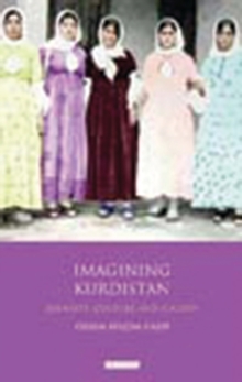 Imagining Kurdistan : Identity, Culture and Society