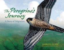 The Peregrine's Journey : A Story of Migration