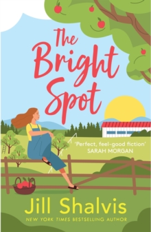 The Bright Spot : The uplifting novel of love, hope and the family you choose