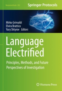 Language Electrified : Principles, Methods, and Future Perspectives of Investigation