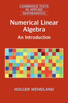 Numerical Linear Algebra : An Introduction