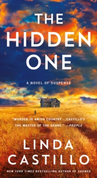 The Hidden One : A Novel of Suspense