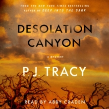 Desolation Canyon : A Mystery