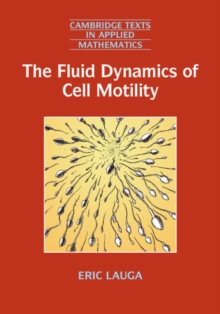 The Fluid Dynamics of Cell Motility