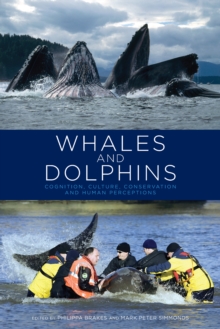 Whales and Dolphins : Cognition, Culture, Conservation and Human Perceptions