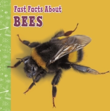 Fast Facts About Bees