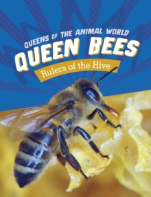 Queen Bees : Rulers of the Hive