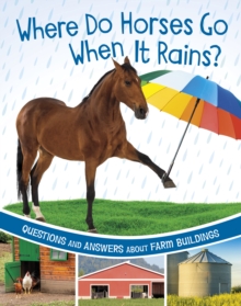 Where Do Horses Go When It Rains? : Questions and Answers About Farm Buildings