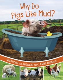Why Do Pigs Like Mud? : Questions and Answers About Farm Animals