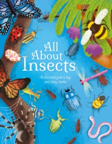 All About Insects : An illustrated guide to bugs and creepy-crawlies