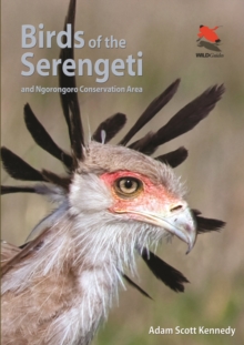 Birds of the Serengeti : And Ngorongoro Conservation Area