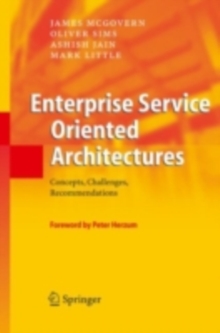 Enterprise Service Oriented Architectures : Concepts, Challenges, Recommendations
