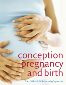 The Pregnancy Bible Ebook