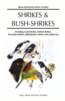 Shrikes And Bush Shrikes Including Wood Shrikes Helmet