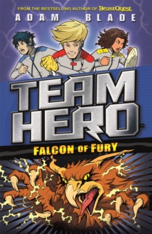 Team Hero: Falcon of Fury : Series 2 Book 3