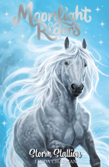 Moonlight Riders: Storm Stallion : Book 2