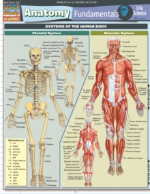 Anatomy Fundamentals: Life Science: Inc. BarCharts: 9781423214120