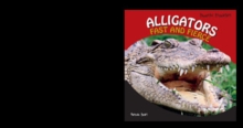 Alligators