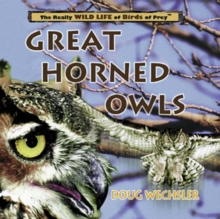 Great Horned Owls