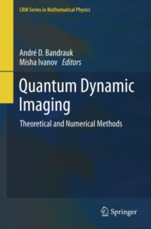 Quantum Dynamic Imaging : Theoretical and Numerical Methods