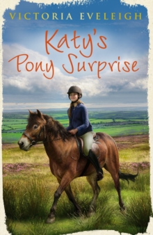 Katy's Pony Surprise : Book 3