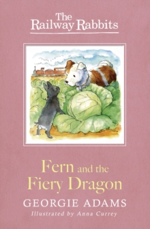 Fern and the Fiery Dragon : Book 7