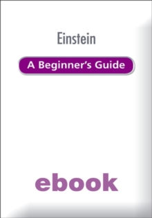 Einstein: A Beginner's Guide