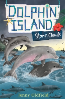 Dolphin Island: Storm Clouds : Book 6