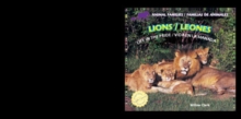 Lions: Life in the Pride / Leones: Vida en la manada