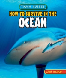 How to Survive in the Ocean
