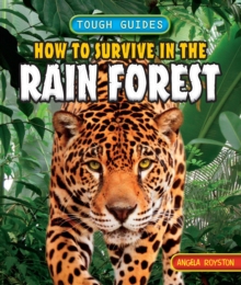 How to Survive in the Rainforest