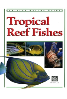 Tropical Reef Fishes : Periplus Nature Guide