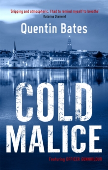 Cold Malice : A dark and chilling Icelandic noir thriller