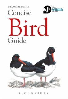 Concise Bird Guide