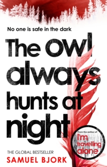 The Owl Always Hunts at Night : (Munch and Kr ger Book 2)