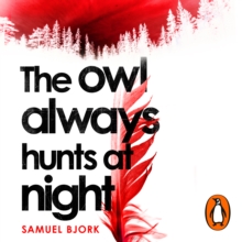 The Owl Always Hunts at Night : (Munch and Kruger Book 2)