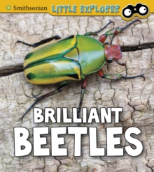 Brilliant Beetles
