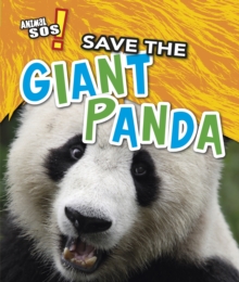 Save the Giant Panda