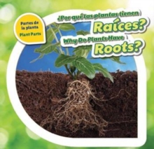 Por que las plantas tienen raices? / Why Do Plants Have Roots?