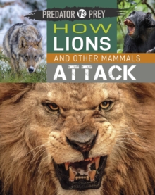 Predator vs Prey: How Lions and other Mammals Attack