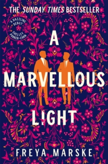 A Marvellous Light : a dazzling, queer romantic fantasy