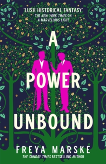 A Power Unbound : a spicy, magical historical romp