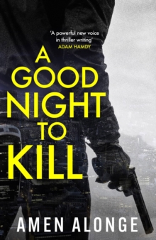 A Good Night to Kill : a Pretty Boy Novel (2)