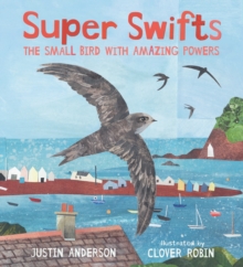 Super Swifts: The Small Bird With Amazing Powers